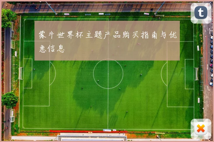 蒙牛世界杯主题产品购买指南与优惠信息
