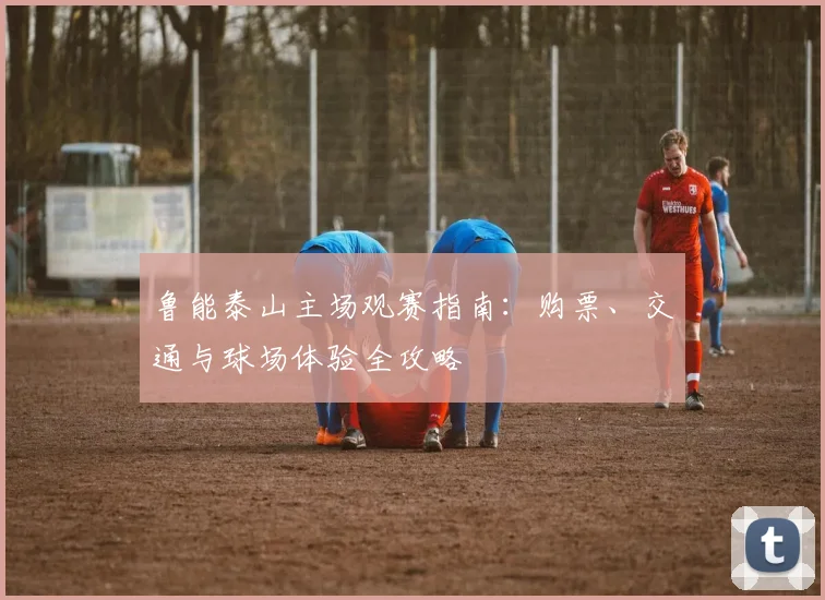 鲁能泰山主场观赛指南：购票、交通与球场体验全攻略